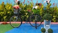 black old ontel bicycle with basket in flower garden in daytime Royalty Free Stock Photo
