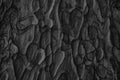 Black old pine tree bark texture close up Royalty Free Stock Photo