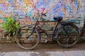 A black old rusty Bicycle is parked against a green Bush and a colorful bright wall. Royalty Free Stock Photo