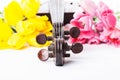 Black old violin Royalty Free Stock Photo