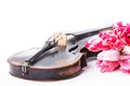 Black old violin Royalty Free Stock Photo