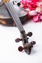 Black old violin Royalty Free Stock Photo