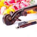 Black old violin Royalty Free Stock Photo