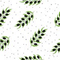 Black Olives on branch with leaves, seamless pattern Royalty Free Stock Photo