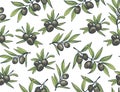 Black olives from branches on a white background.