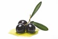 Black olives covered in oil