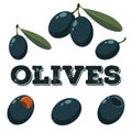 Black olives set.Hand drawn olives. Royalty Free Stock Photo