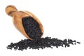 Black Onion Seed