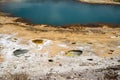 Black Opal spring, located in the Biscuit Basin, a geothermal feature area of Yellowstone National Park Royalty Free Stock Photo