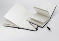 Black open small and large notebooks with blank white pages and ballpoint pen lie unfold on white backdrop Royalty Free Stock Photo