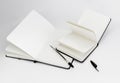 Black open small notepad and ball point pen lie in unfold large notebook with blank white pages. New books Royalty Free Stock Photo