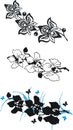 Black orchid set Royalty Free Stock Photo