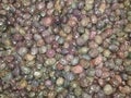 Black and organic fresh olive varieties in the market