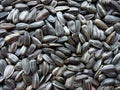 Black organic sunflower seeds texture background Royalty Free Stock Photo