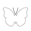Beautiful butterfly with drawing guideline over white background, art sketching