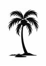 Black Palm Tree Silhouette On White Background - Bold Stencil Design