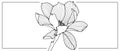 Black outline of a delicate magnolia flower on a white background.