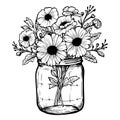 Black outline flowers bouquet in the mason jar, botanical vector illustration. Summer floral line art drawing. Royalty Free Stock Photo