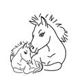 Black outline hand drawing vector illustration of a horse and a baby horse lying on a grass isolated on a white background Royalty Free Stock Photo