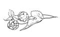 Black outline hand drawn fresh Humulus lupulus branches with cones and leaf, vintage sketch of decorative herbs for