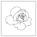 Black outline of a lush rose flower on a white background.