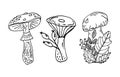 Black outline mushrooms set botanical line art illustration. Hand drawing forest plants art.