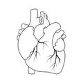 Black outline real heart Royalty Free Stock Photo