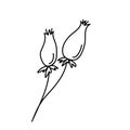 Black outline of rosehip berries on a white background