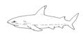 Black outline of a shark vector drawing. Shark Eater. Sketch of the side view of a shark fish. vector illustration of a shark Royalty Free Stock Photo