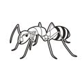 Black outline ant isolated on white back ground