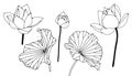 Black outline of water lily flowers and leaves on a white background for coloring pages, Royalty Free Stock Photo