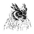 Black owl image