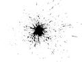 Black paint, ink splash, brushes ink droplets, blots. Black ink splatter background, isolated on white Royalty Free Stock Photo