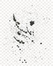 Black paint splatter isolated. Water splash silhouette vector texture.