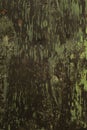 Black painted rusty metal panel with splashes of green paint Royalty Free Stock Photo