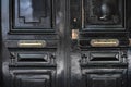 Black painted wooden door glossy surface closeup. Aged wood panels with shiny brass vintage doorknobs and lock patch.