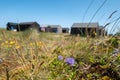 Black painted wooden fishermens` huts in the sand dunes at Winterton on Sea near Great Yarmouth of the east coast of Norfolk UK. Royalty Free Stock Photo