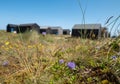 Black painted wooden fishermens` huts in the sand dunes at Winterton on Sea near Great Yarmouth of the east coast of Norfolk UK. Royalty Free Stock Photo