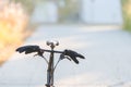 Black pair of modern synthetic gloves stuck on handlebar of folding bike standing in suburban area with blurred background on cold