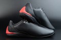 Black pair motosport shoes