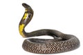 Black Pakistani Cobra