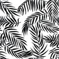 Black palm leaves on white background. Tropical silhouette seamless vector pattern. Royalty Free Stock Photo