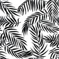 Black palm leaves on white background. Tropical silhouette seamless vector pattern.