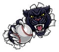 Black Panther Baseball Mascot Breaking Background Royalty Free Stock Photo