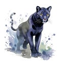 Black Panther in cartoon style. Cute Little Cartoon Panther isolated on white background. Watercolor drawing, hand-drawn Panther Royalty Free Stock Photo