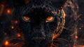 Black Panther with Eyes of Fire Concept Royalty Free Stock Photo