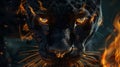 Black Panther with Eyes of Fire Concept Royalty Free Stock Photo