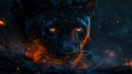 Black Panther with Eyes of Fire Concept Royalty Free Stock Photo