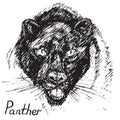 Black Panther face front, hand drawn doodle