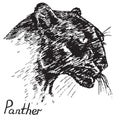 Black Panther face profile, hand drawn doodle, sketch